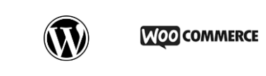 best wordpress and woocommerce designer websites coding in paschim vihar